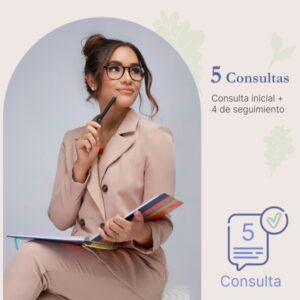 5 Consultas